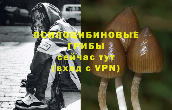 героин Алексин