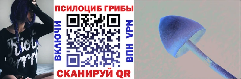 Псилоцибиновые грибы Magic Shrooms  где найти   Бахчисарай 